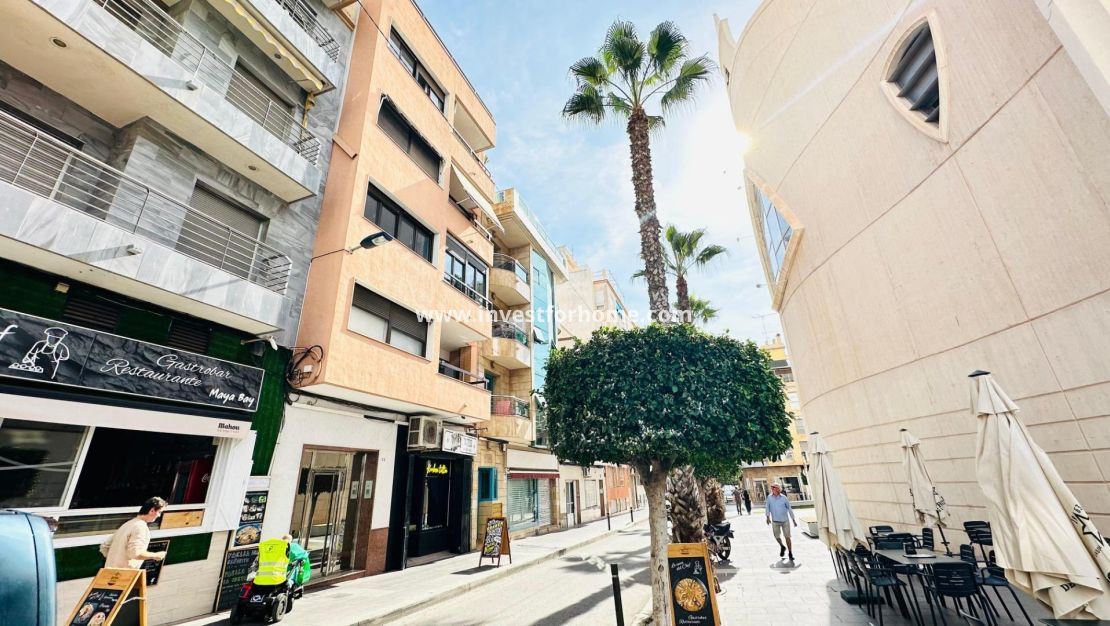 Vente - Appartement - Torrevieja - Centro