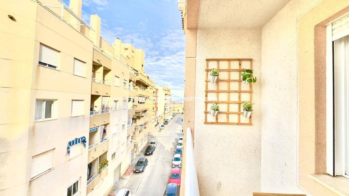 Vente - Appartement - Torrevieja - Centro