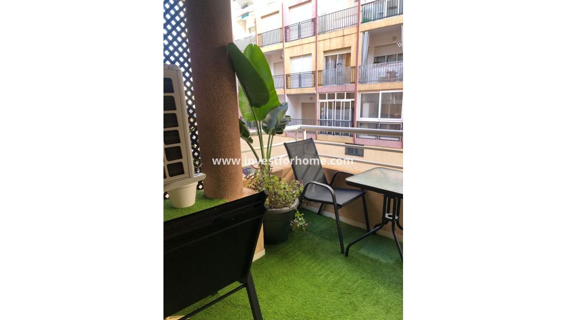 Vente - Appartement - Torrevieja - Centro
