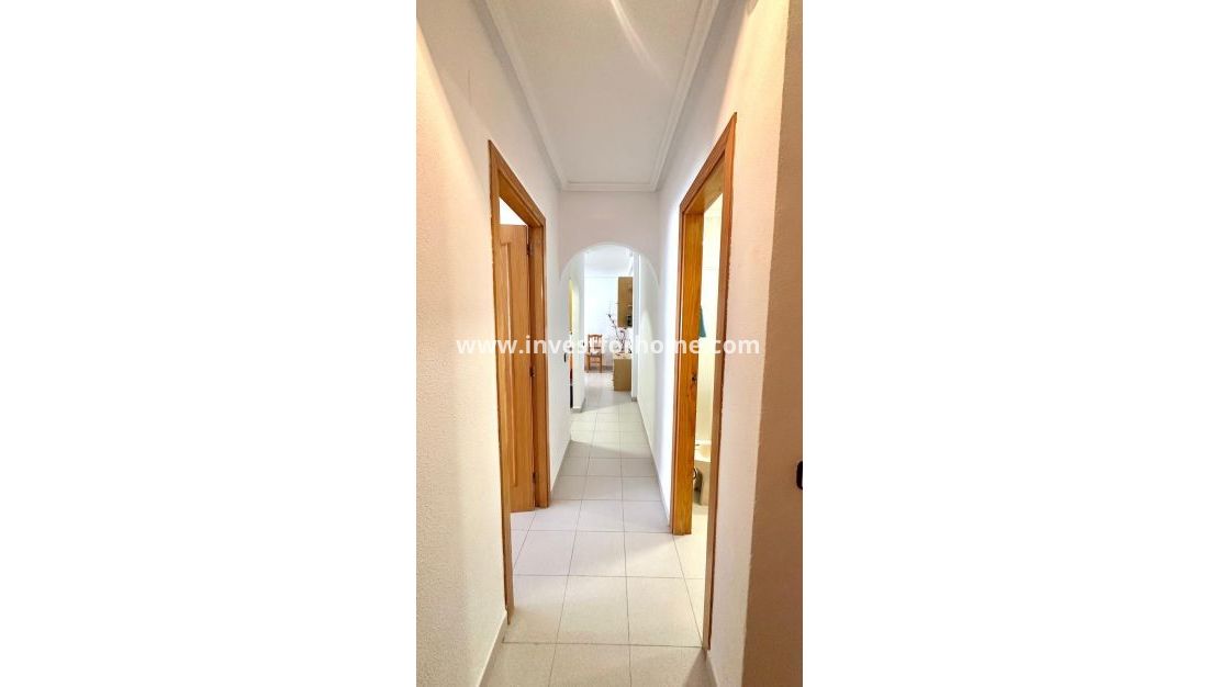 Vente - Appartement - Torrevieja - Centro