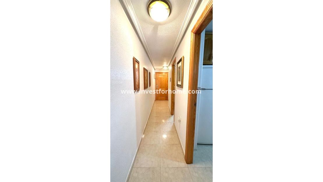 Vente - Appartement - Torrevieja - Centro