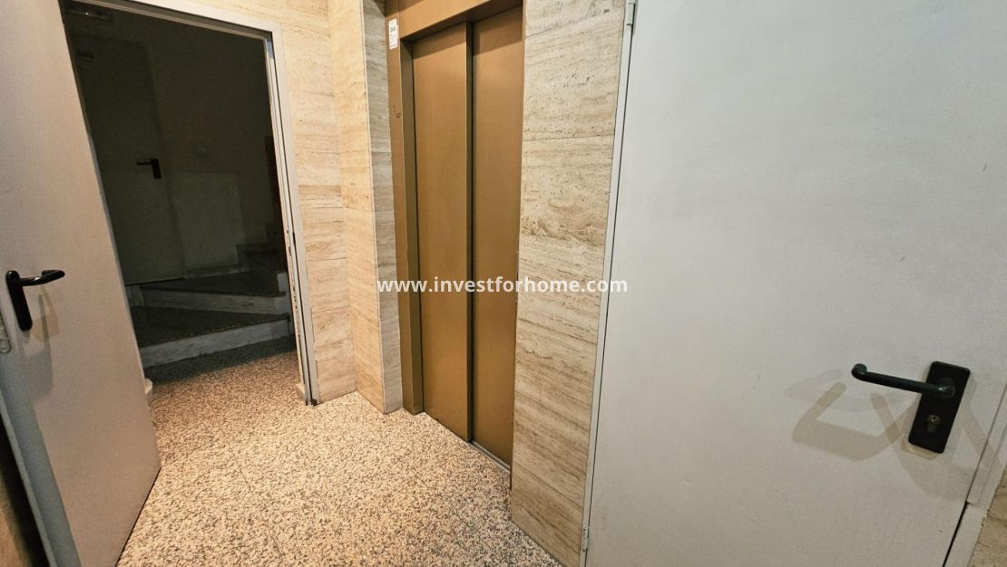 Vente - Appartement - Torrevieja - Centro