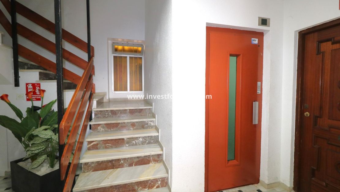 Vente - Appartement - Torrevieja - Centro