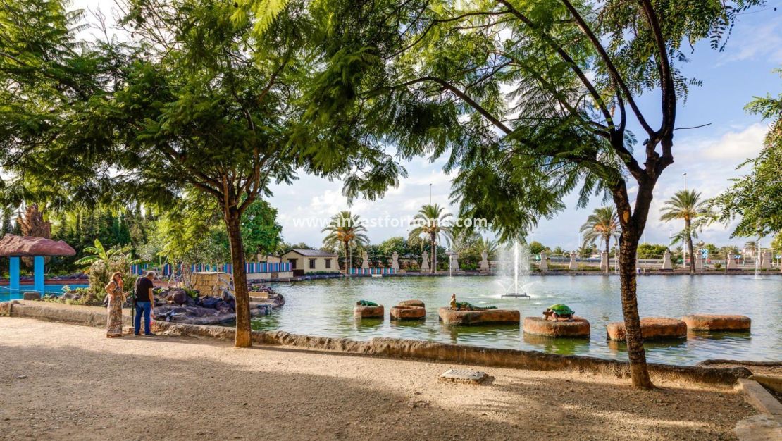 Vente - Appartement - Torrevieja - Centro