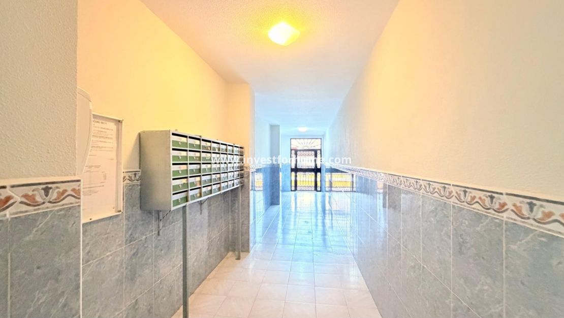 Vente - Appartement - Torrevieja - Centro