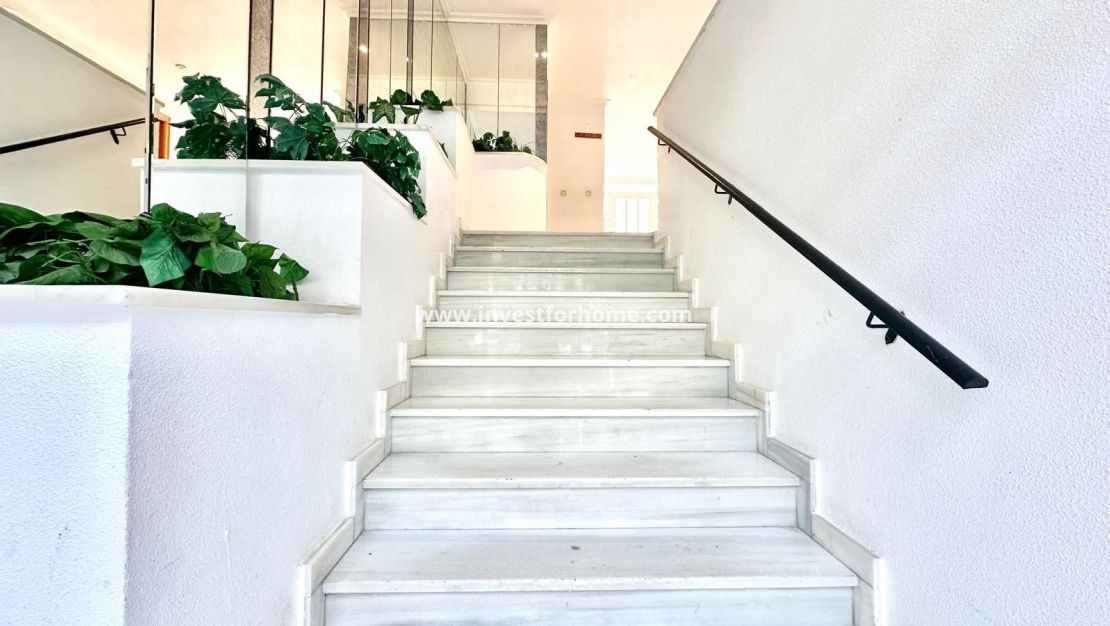 Vente - Appartement - Torrevieja - Centro