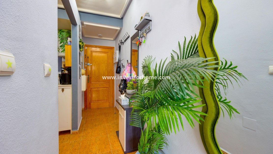 Vente - Appartement - Torrevieja - Centro