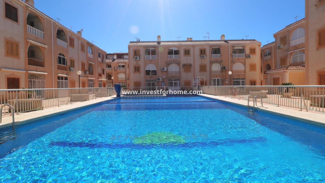 Vente - Appartement - Torrevieja - Centro