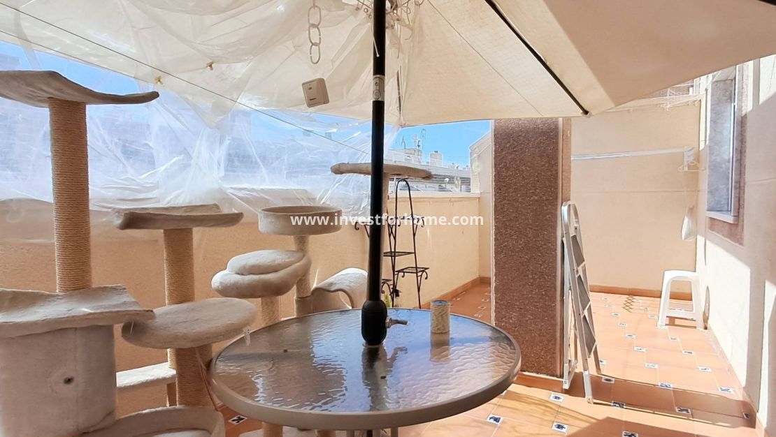 Vente - Appartement - Torrevieja - Centro