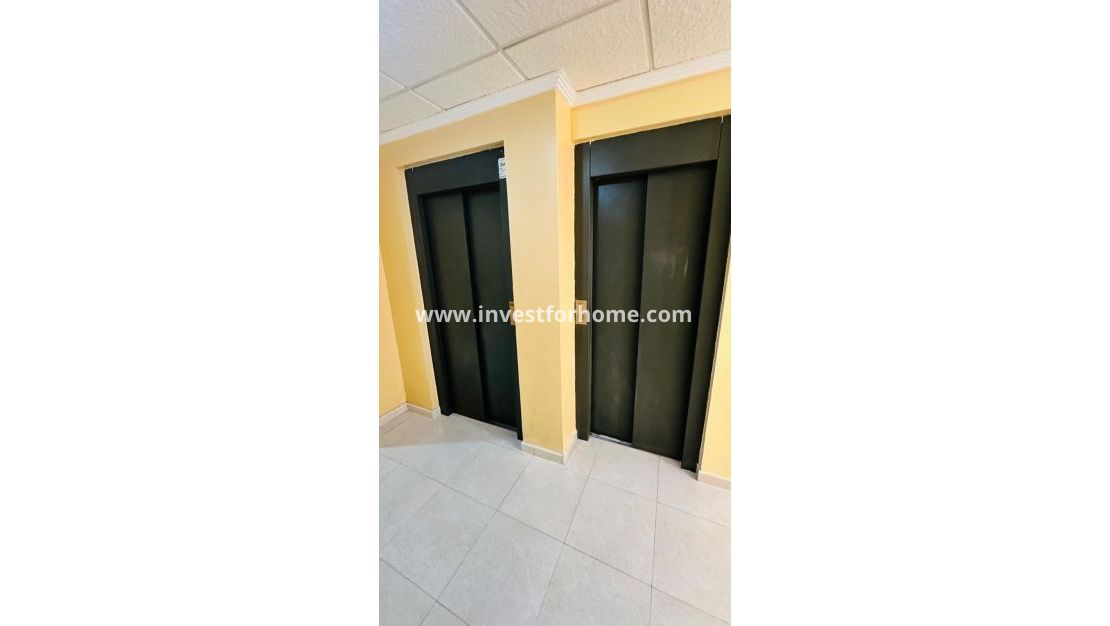 Vente - Appartement - Torrevieja - Centro