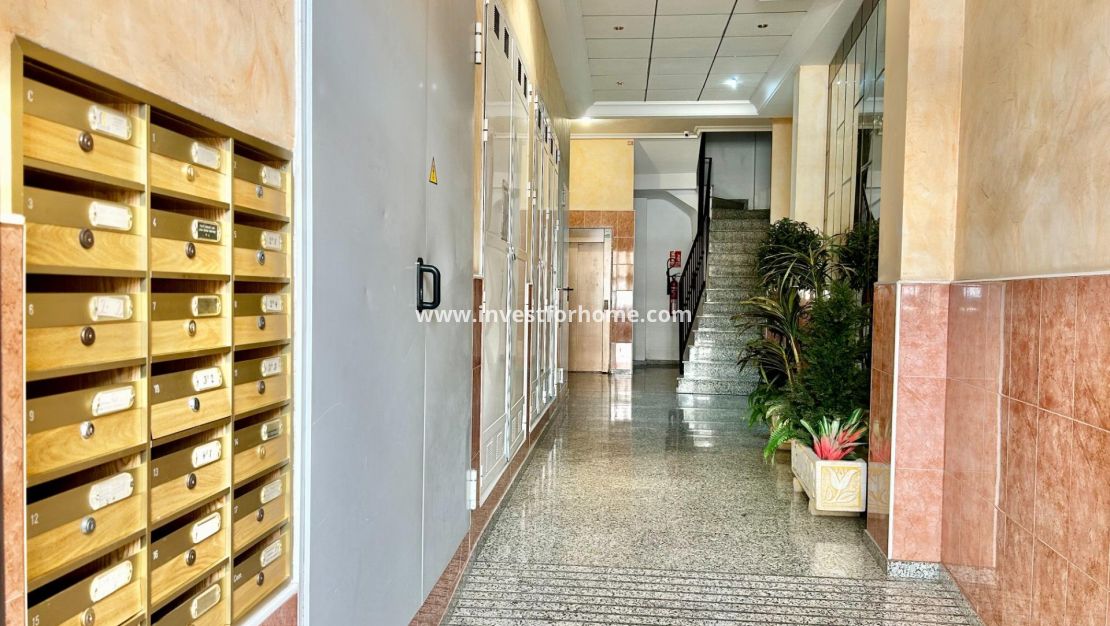 Vente - Appartement - Torrevieja - Centro