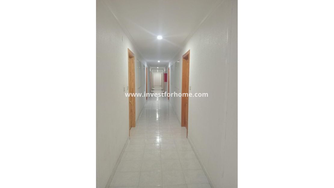 Vente - Appartement - Torrevieja - Centro