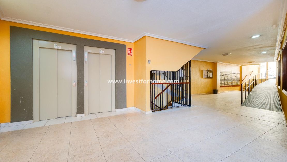 Vente - Appartement - Torrevieja - Centro