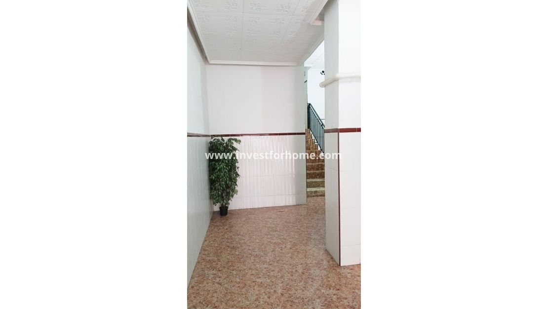 Vente - Appartement - Torrevieja - Centro