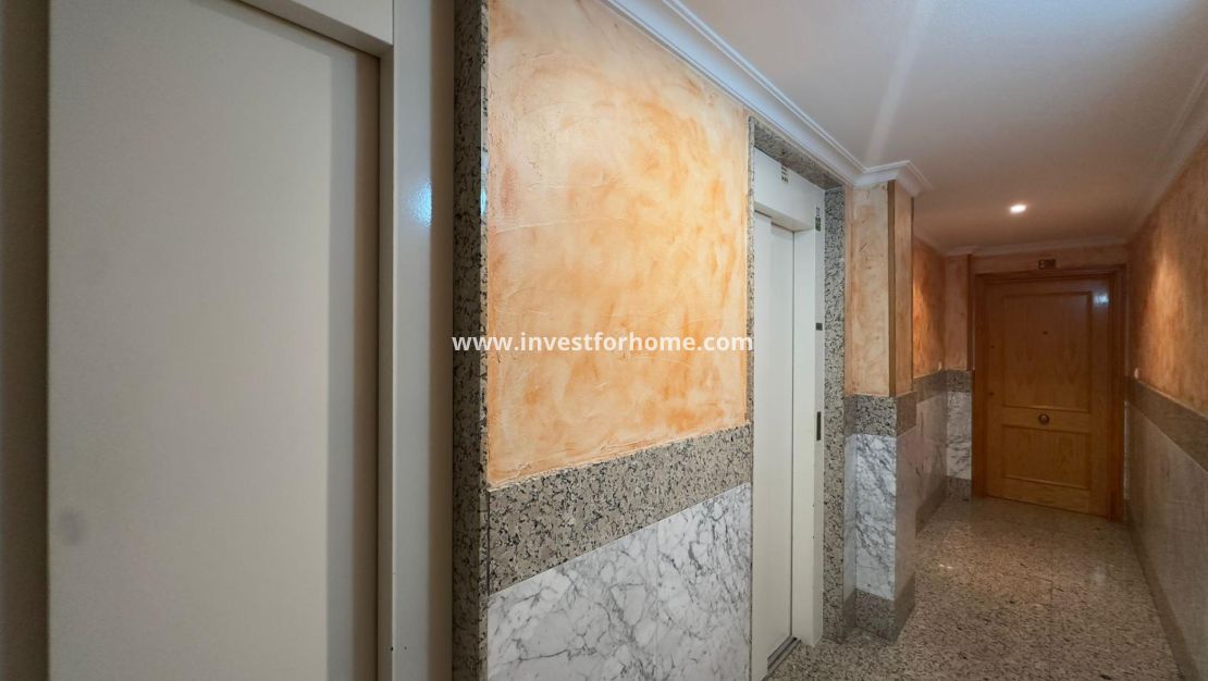 Vente - Appartement - Torrevieja - Centro