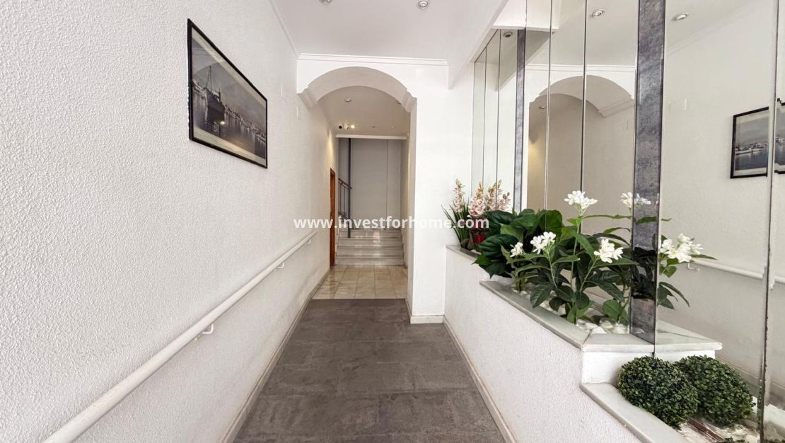 Vente - Appartement - Torrevieja - Centro