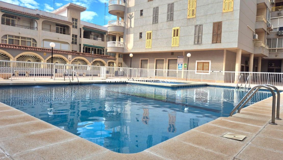 Vente - Appartement - Torrevieja - Centro