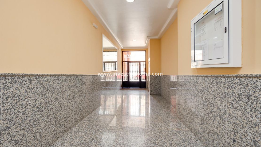 Vente - Appartement - Torrevieja - Centro