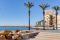 Vente - Appartement - Torrevieja - Centro