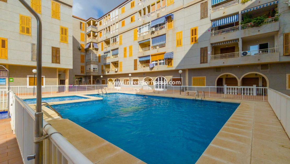 Vente - Appartement - Torrevieja - Centro
