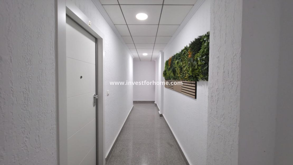Vente - Appartement - Torrevieja - Centro