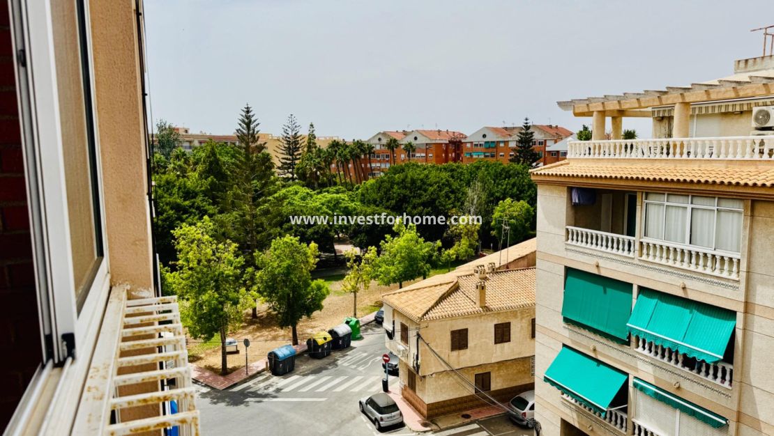 Vente - Appartement - Torrevieja - Centro