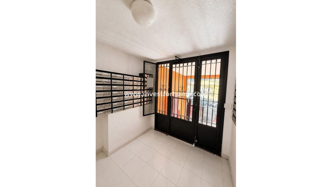 Vente - Appartement - Torrevieja - Centro