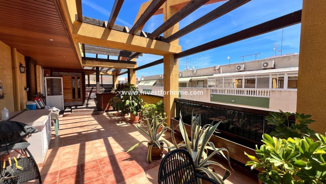 Vente - Appartement - Torrevieja - Centro