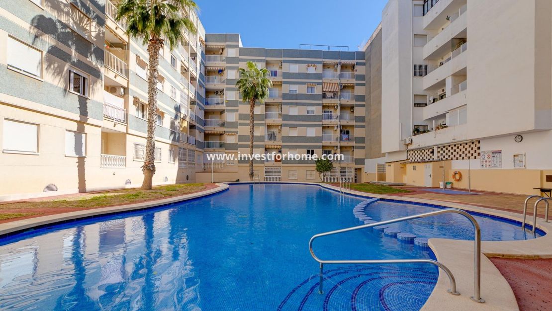 Vente - Appartement - Torrevieja - Centro