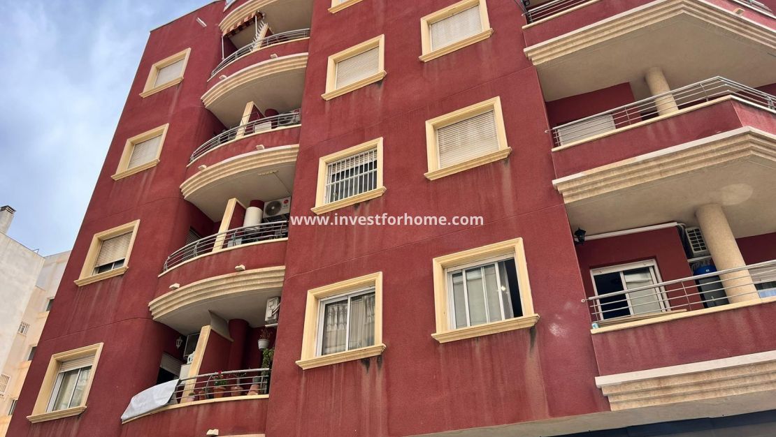 Vente - Appartement - Torrevieja - Centro