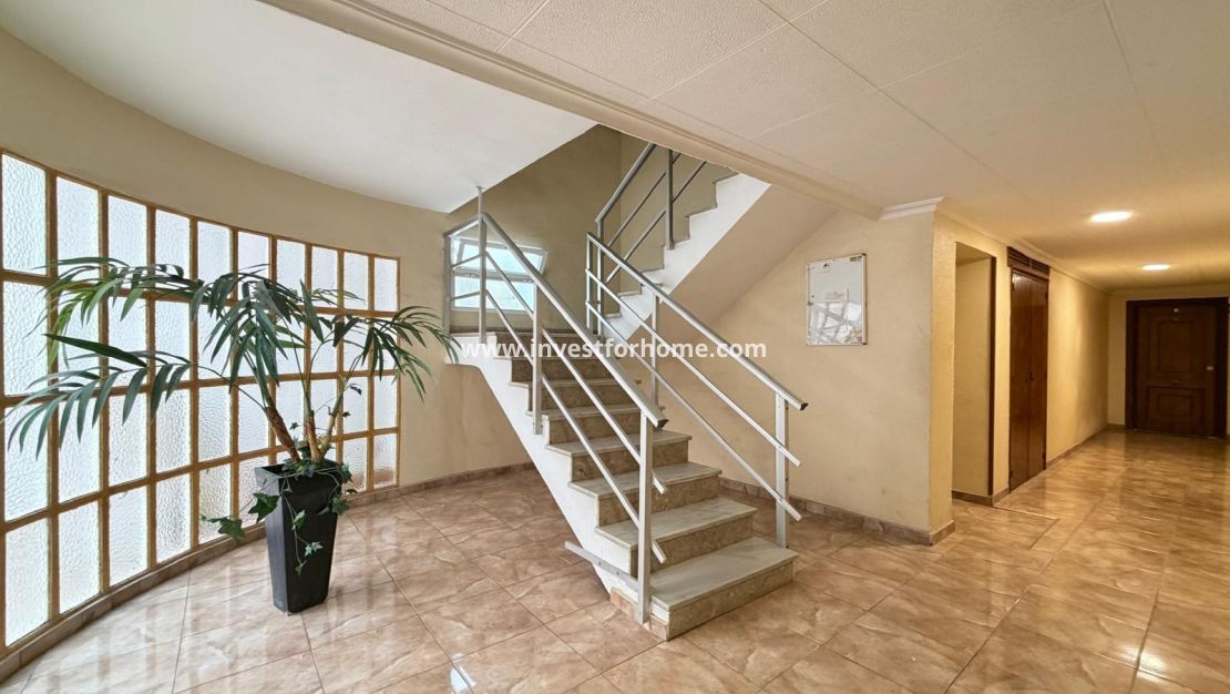 Vente - Appartement - Torrevieja - Centro