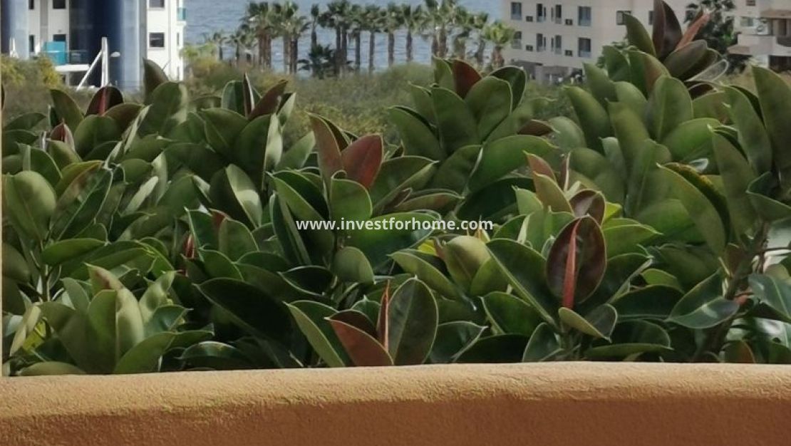 Vente - Appartement - Torrevieja - Costa Blanca