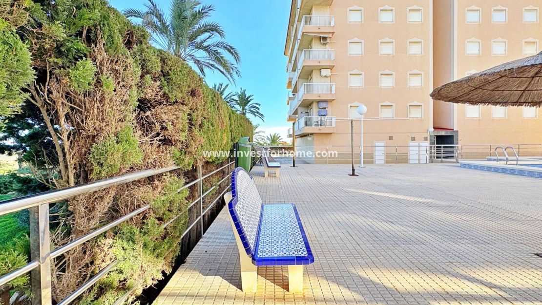 Vente - Appartement - Torrevieja - Costa Blanca