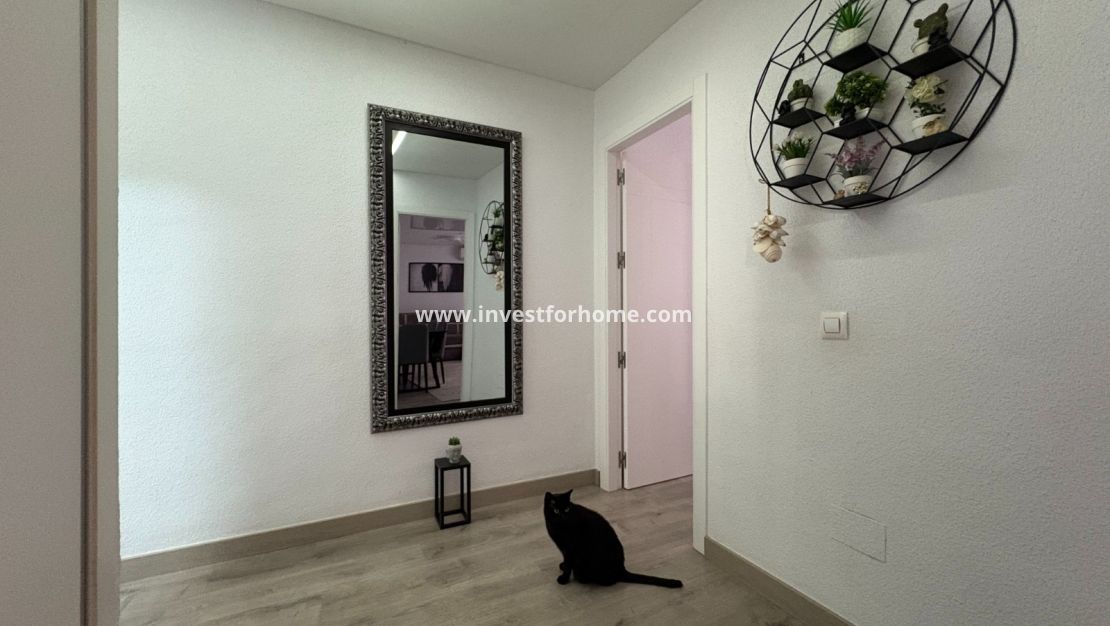 Vente - Appartement - Torrevieja - Costa Blanca