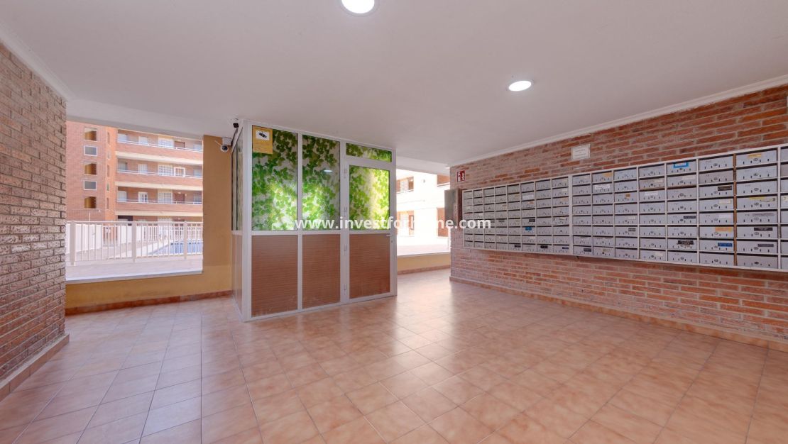 Vente - Appartement - Torrevieja - El Acequión - Los Náufragos