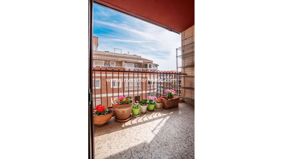 Vente - Appartement - Torrevieja - El Acequión - Los Náufragos