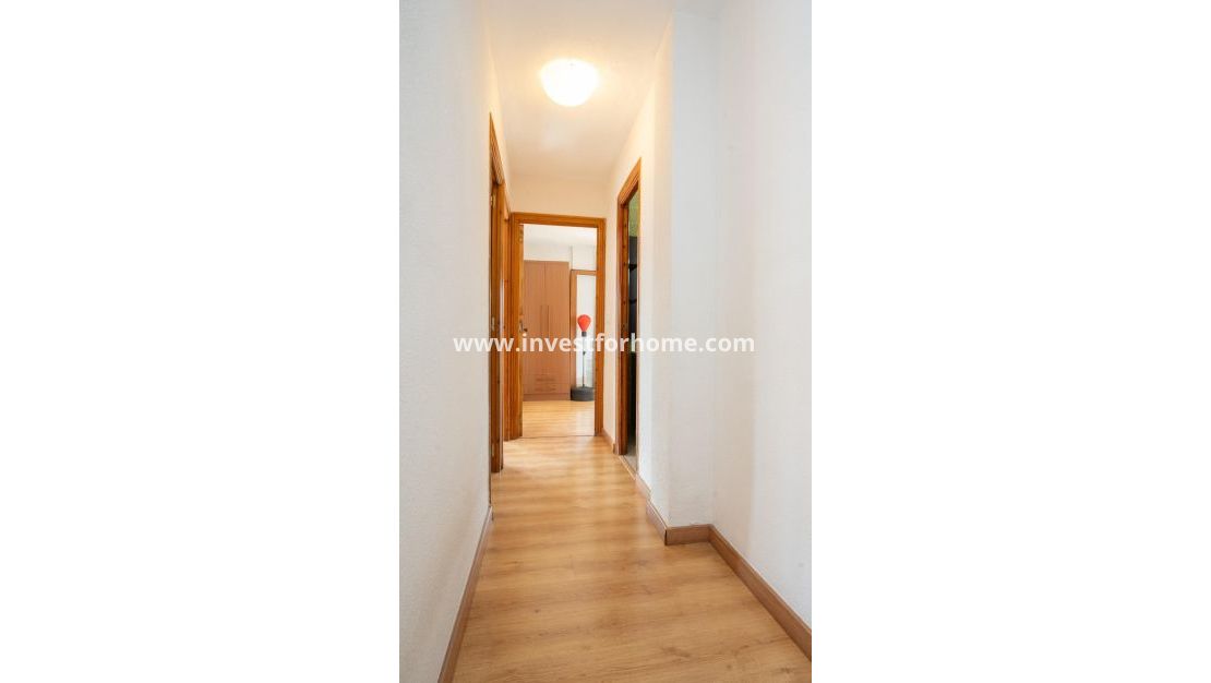 Vente - Appartement - Torrevieja - El Acequión - Los Náufragos