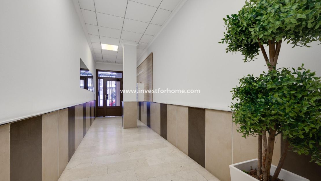 Vente - Appartement - Torrevieja - Estacion De Autobuses