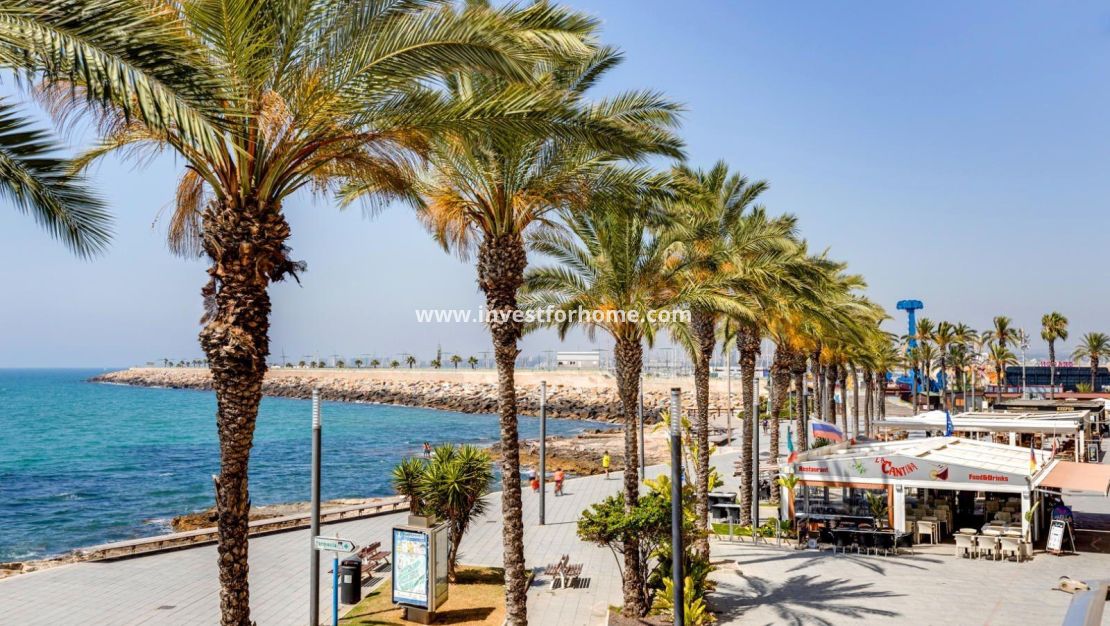 Vente - Appartement - Torrevieja - Estacion De Autobuses