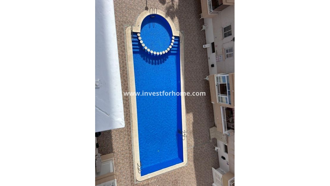 Vente - Appartement - Torrevieja - Estacion De Autobuses