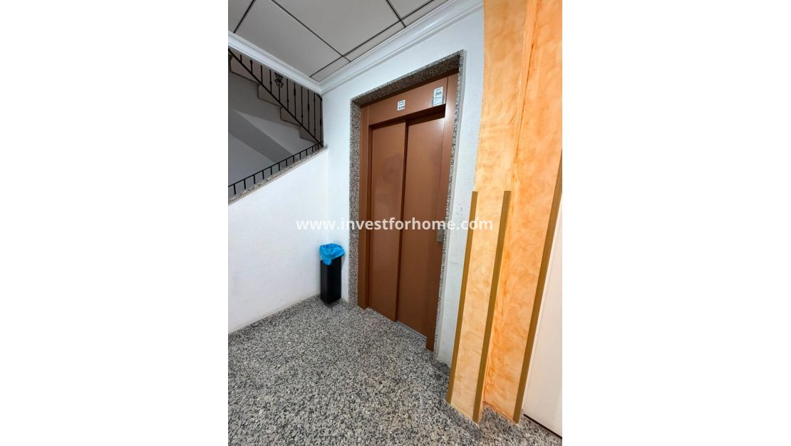 Vente - Appartement - Torrevieja - Estacion De Autobuses