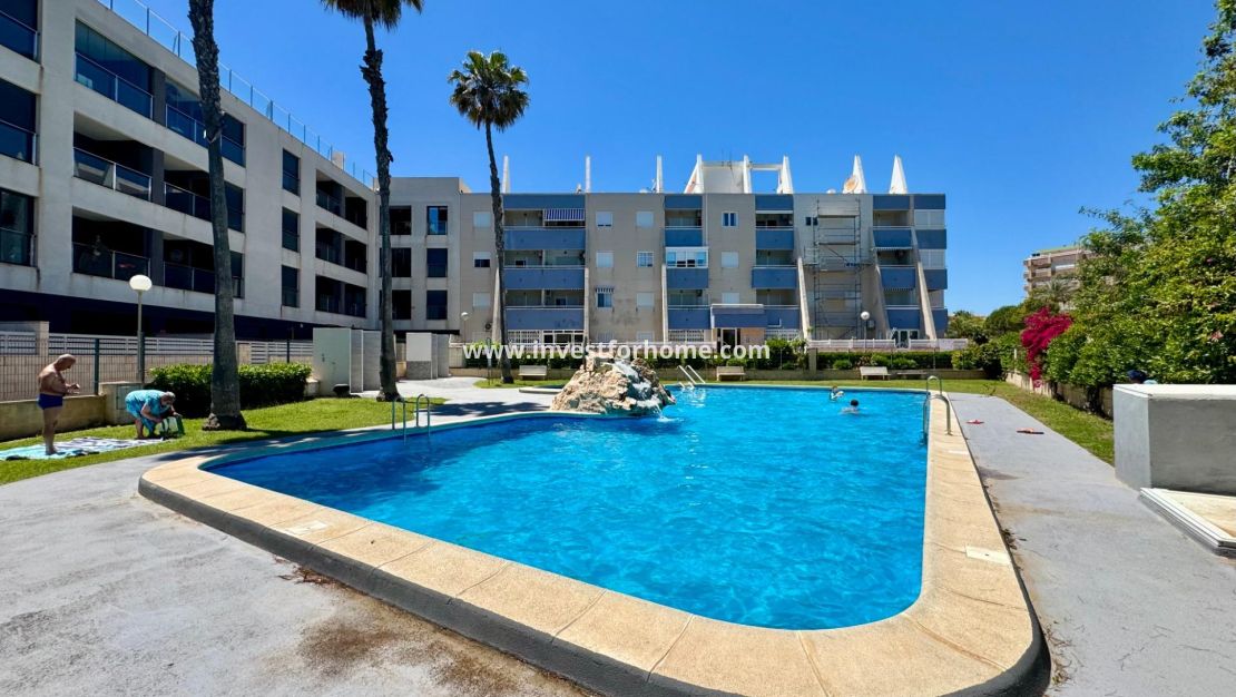 Vente - Appartement - Torrevieja - Gaspar Perrelló
