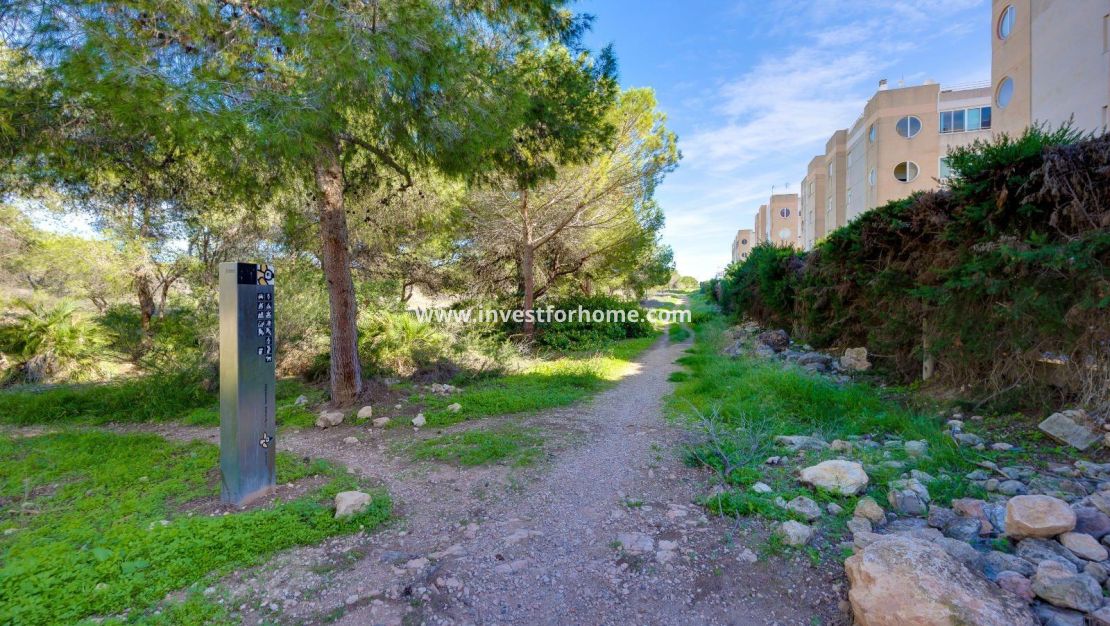 Vente - Appartement - Torrevieja - La Siesta - El Salado - Torreta