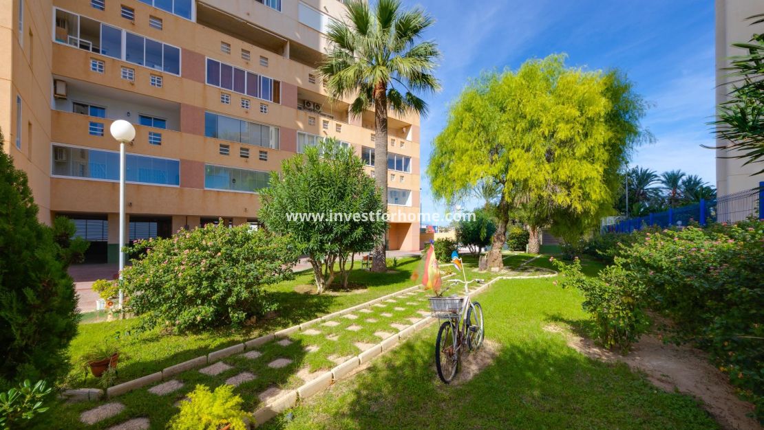 Vente - Appartement - Torrevieja - La Veleta