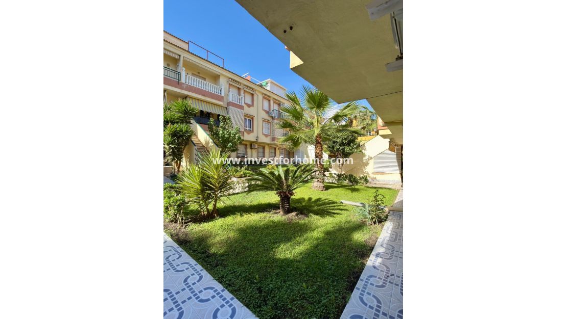 Vente - Appartement - Torrevieja - La veleta