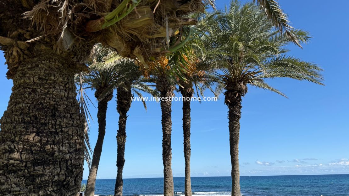 Vente - Appartement - Torrevieja - La veleta