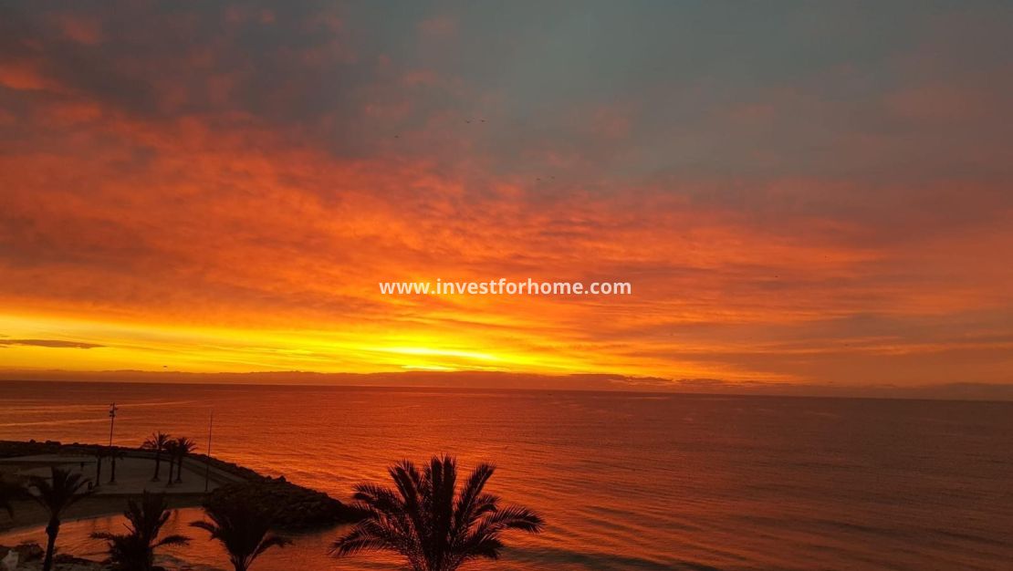 Vente - Appartement - Torrevieja - Las Piscinas Naturales