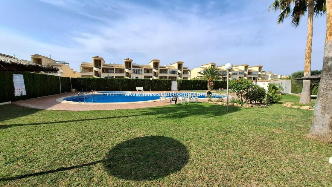 Vente - Appartement - Torrevieja - Los Altos