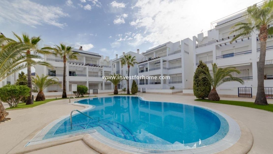 Vente - Appartement - Torrevieja - Los Balcones - Los Altos Del Edén
