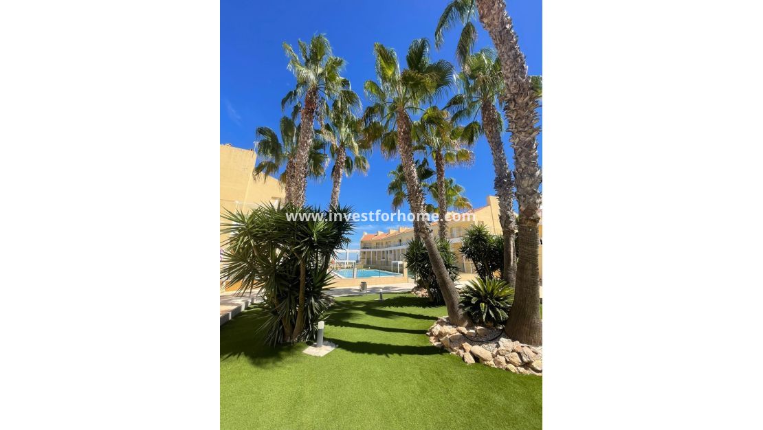 Vente - Appartement - Torrevieja - Nueva Torrevieja - Aguas Nuevas